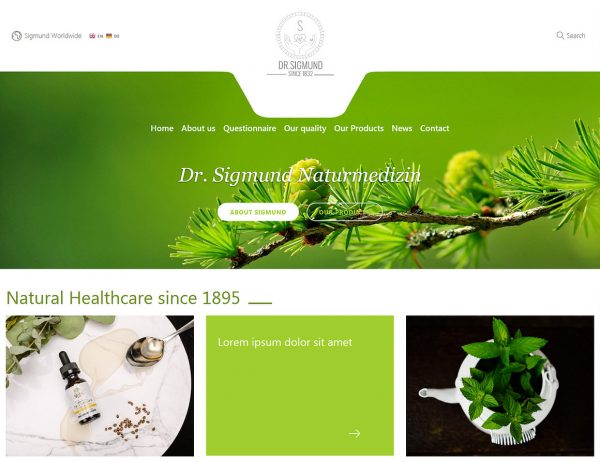 Dr. Sigmund - Wordpress Theme